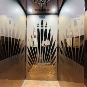 NEST Series - Pitless Home Lift