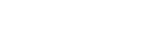 Perfection Logo White